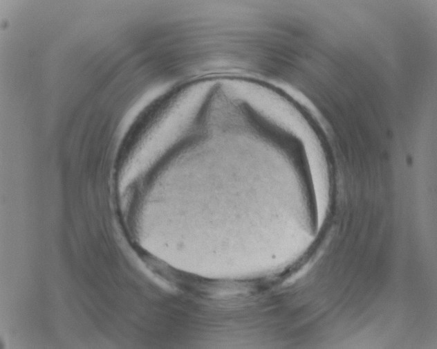 X0000076321333200610271954