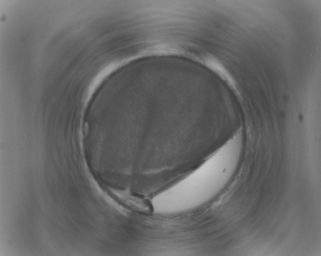 X0000076321334200610271954