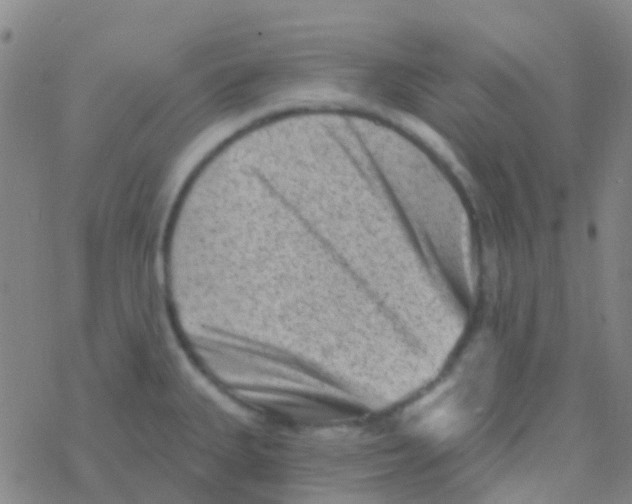 X0000076321335200610271954