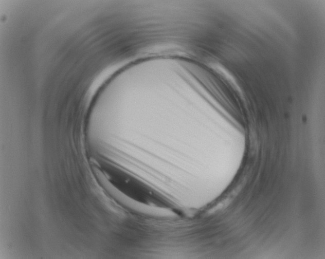 X0000076321336200610271954