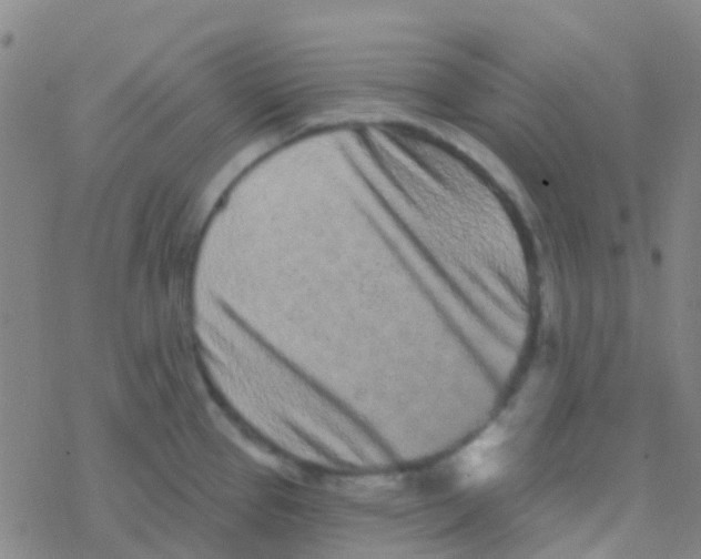 X0000076321337200610271954