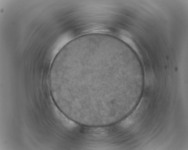 X0000076321338200610271954