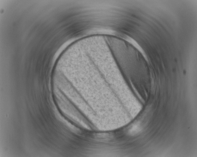 X0000076321339200610271954