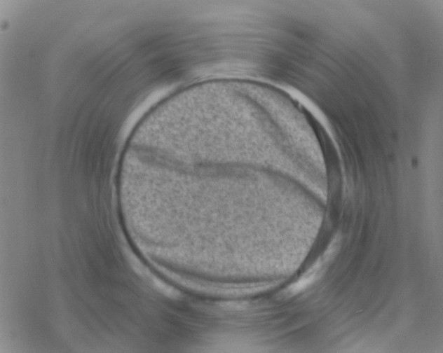 X0000076321341200610271955