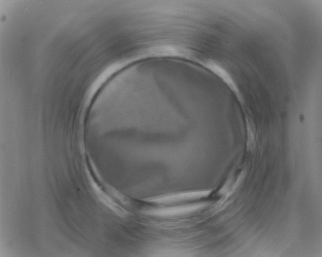 X0000076321342200610271955