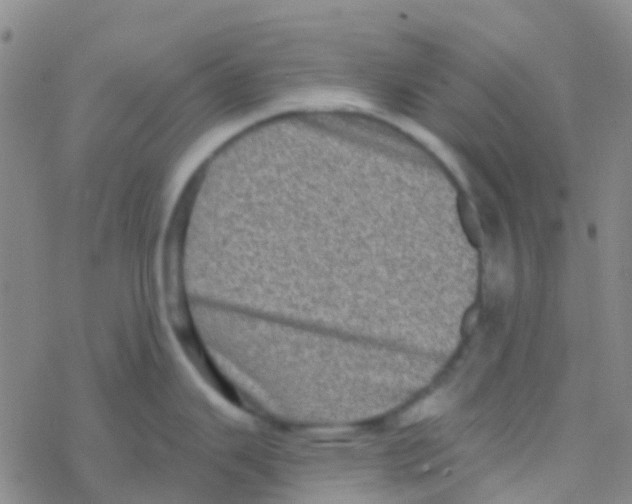 X0000076321343200610271955