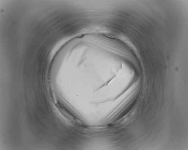 X0000076321344200610271955