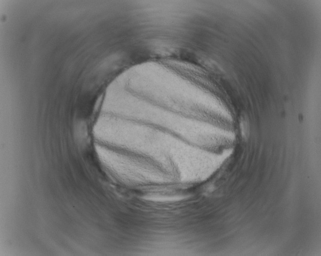 X0000076321347200610271954