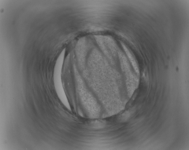 X0000076321348200610271954