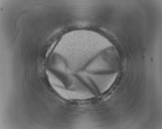 X0000076321349200610271954