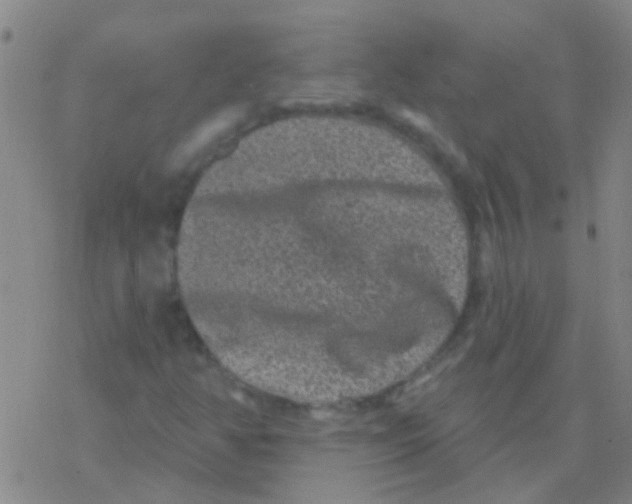 X0000076321350200610271954