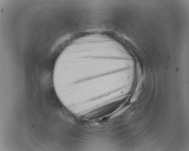 X0000076321351200610271954