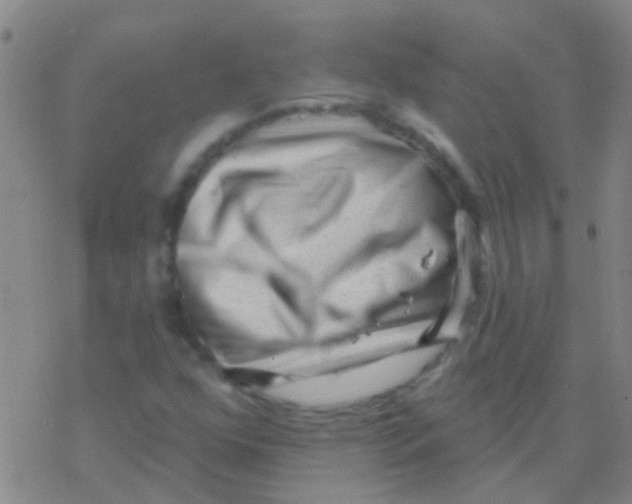 X0000076321352200610271954