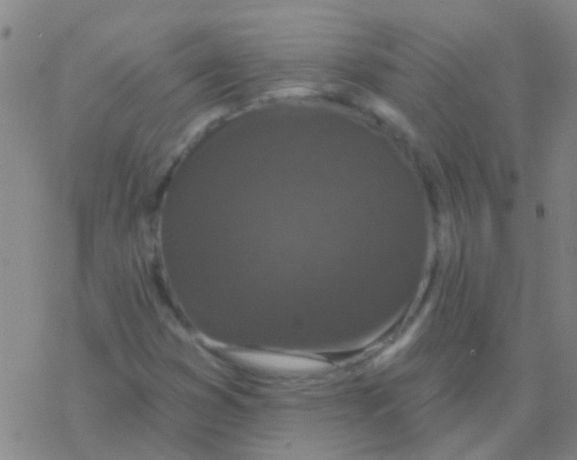 X0000076321353200610271954