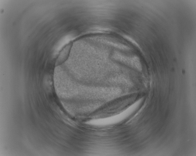 X0000076321355200610271954