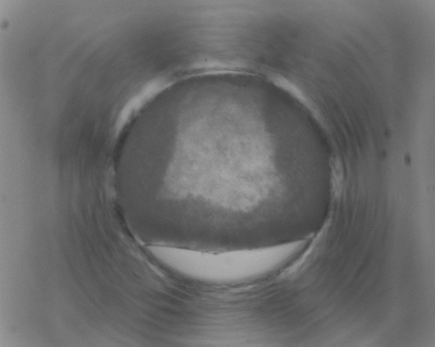 X0000076321357200610271954