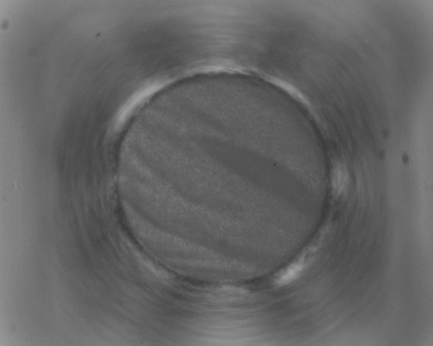 X0000076321359200610271954