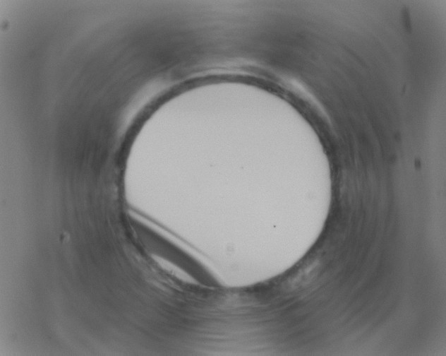 X0000076321360200610271954