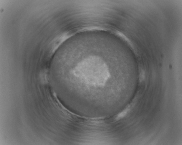 X0000076321361200610271954