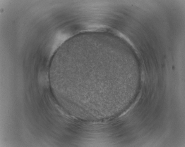 X0000076321362200610271954