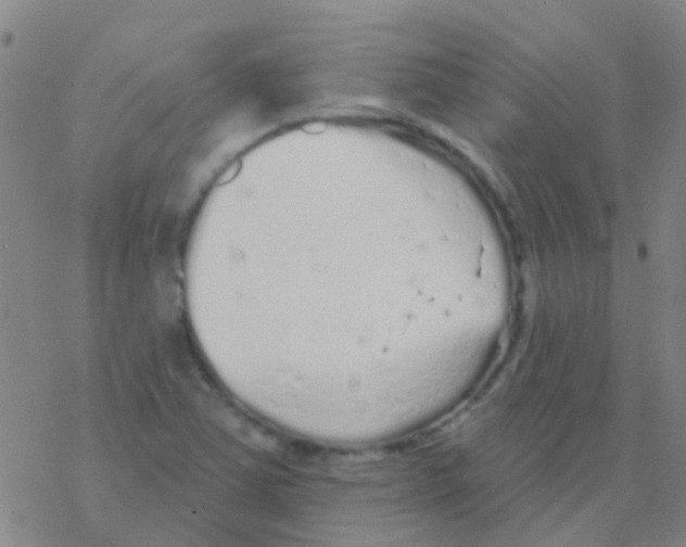 X0000076321363200610271954