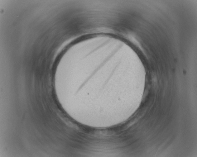 X0000076321364200610271953