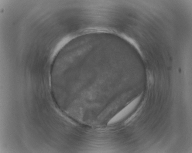 X0000076321365200610271953