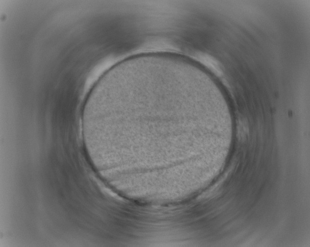 X0000076321366200610271953