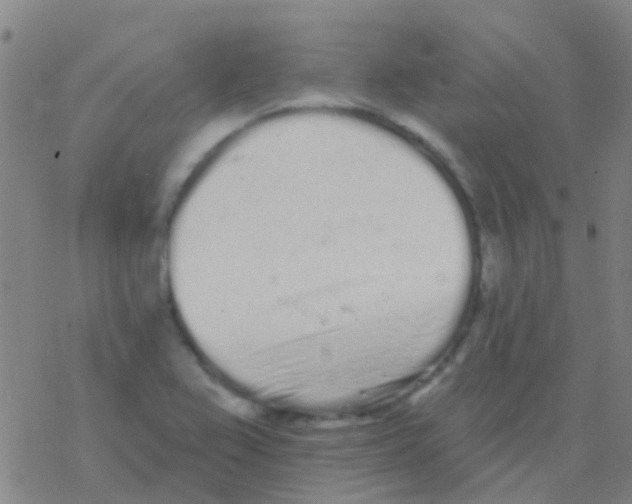 X0000076321367200610271953