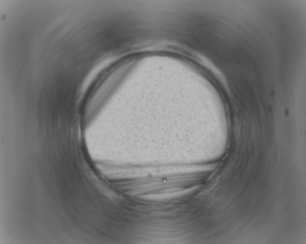 X0000076321368200610271953