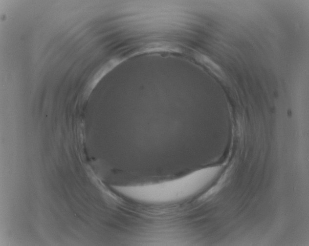 X0000076321369200610271953