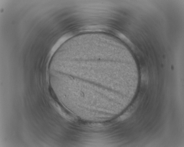 X0000076321370200610271953