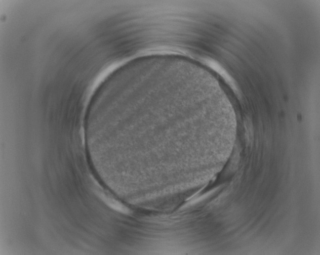 X0000076321372200610271953