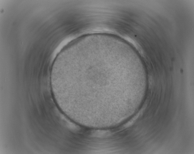 X0000076321374200610271953