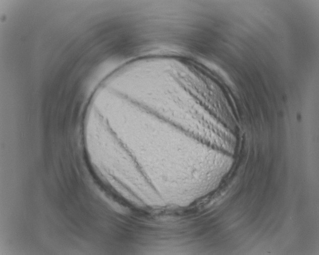 X0000076321375200610271953