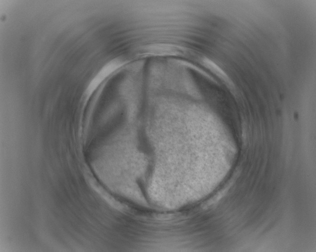 X0000076321378200610271953