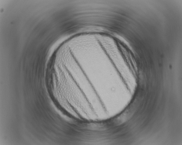 X0000076321379200610271953