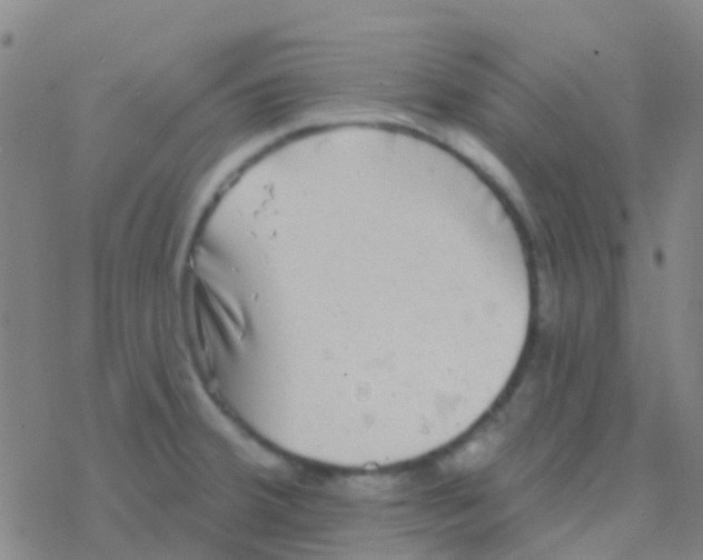 X0000076321380200610271953