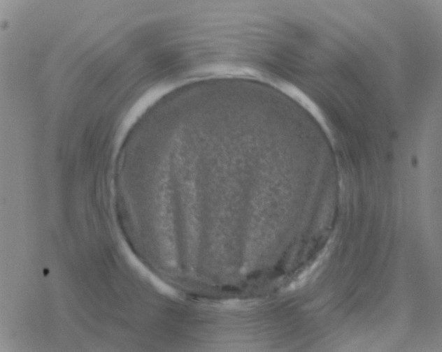 X0000076321381200610271953