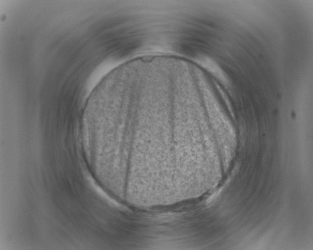 X0000076321382200610271953