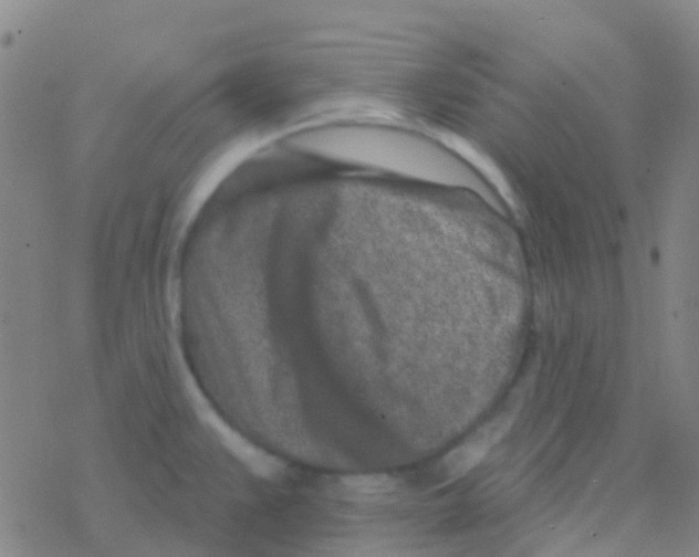 X0000076321383200610271953