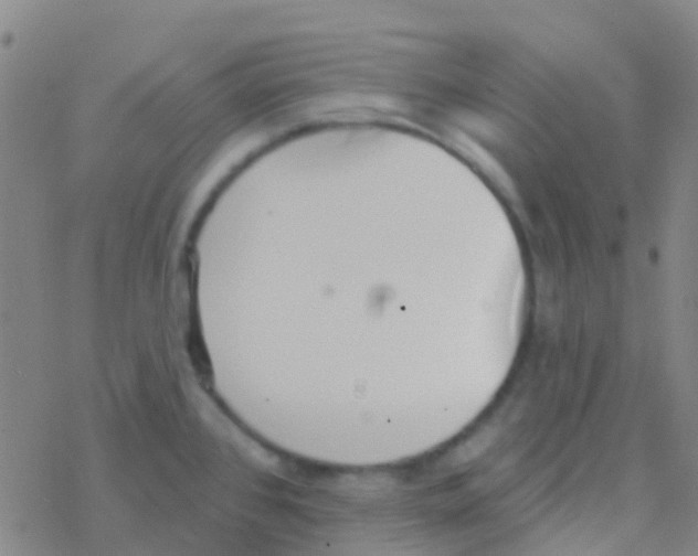 X0000076321384200610271953