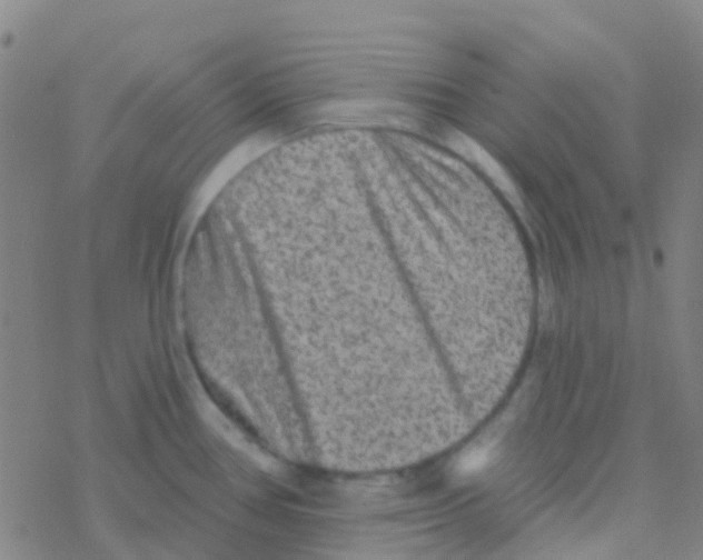 X0000076321386200610271953