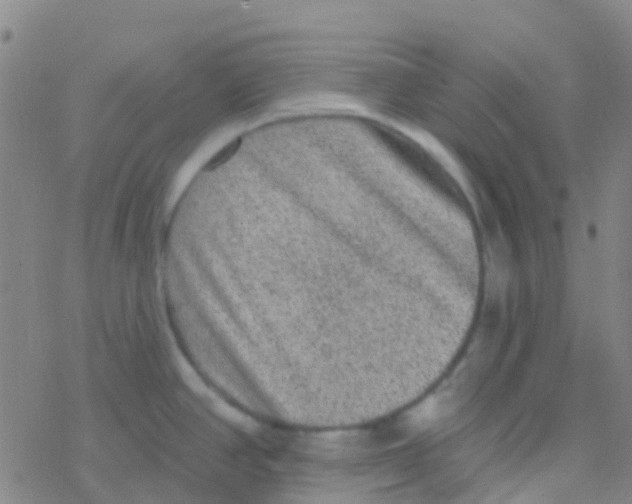 X0000076321390200610271953