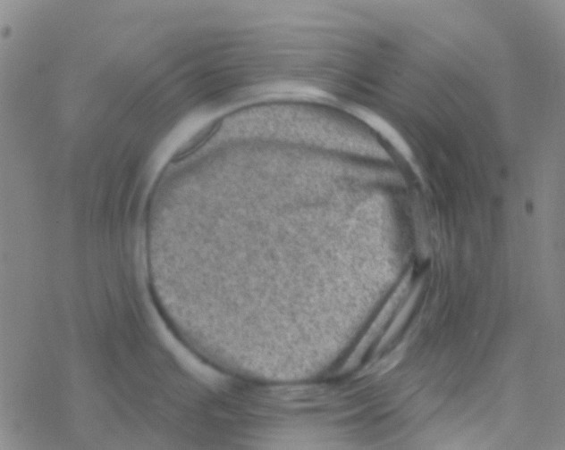 X0000076321391200610271953