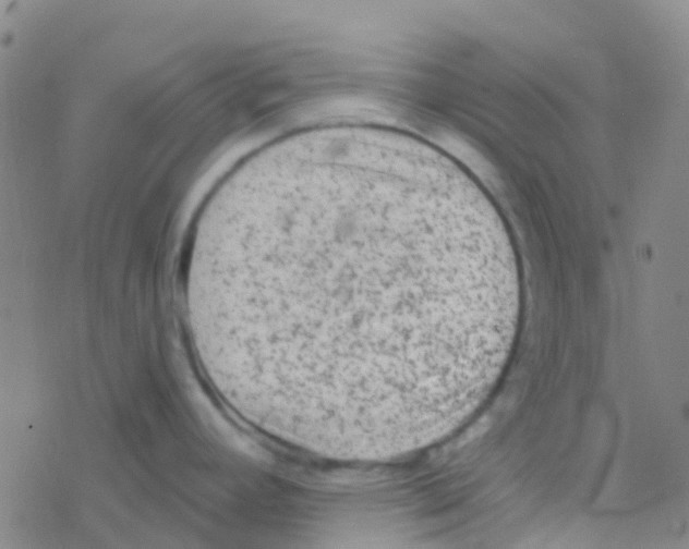 X0000076321392200610271953