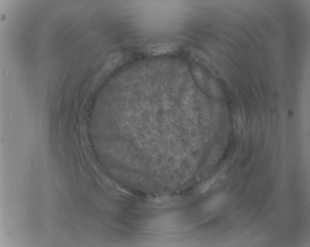 X0000076321393200610271952