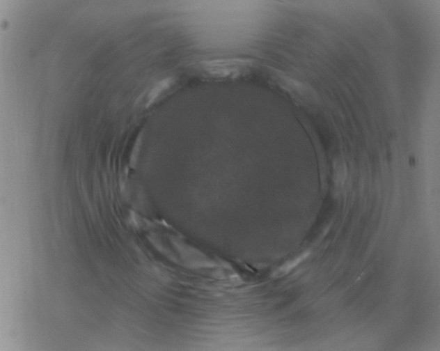 X0000076321394200610271952