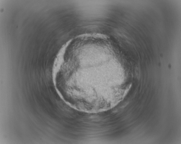 X0000076321395200610271952