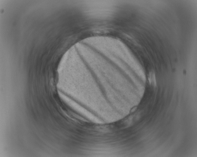 X0000076321396200610271952